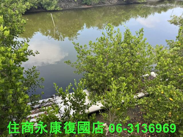 安南農地-8