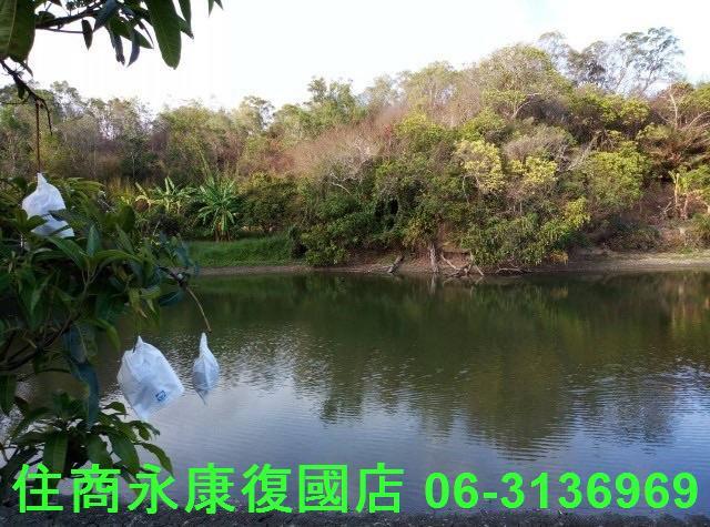 南化農地-10