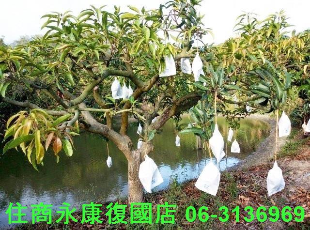南化農地-11
