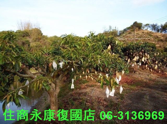 南化農地-12