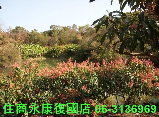 南化農地-1