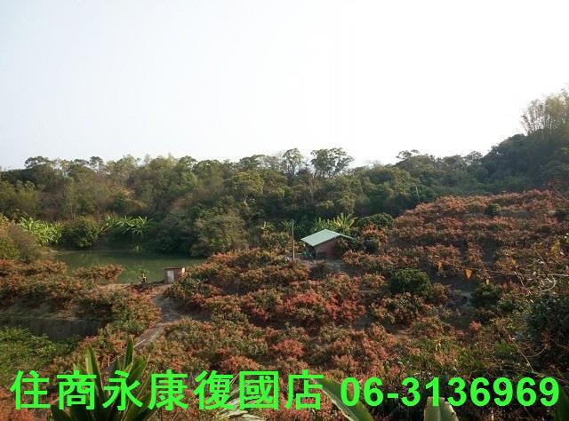 南化農地-2
