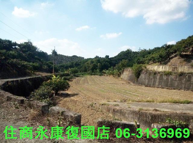 南化農地-6