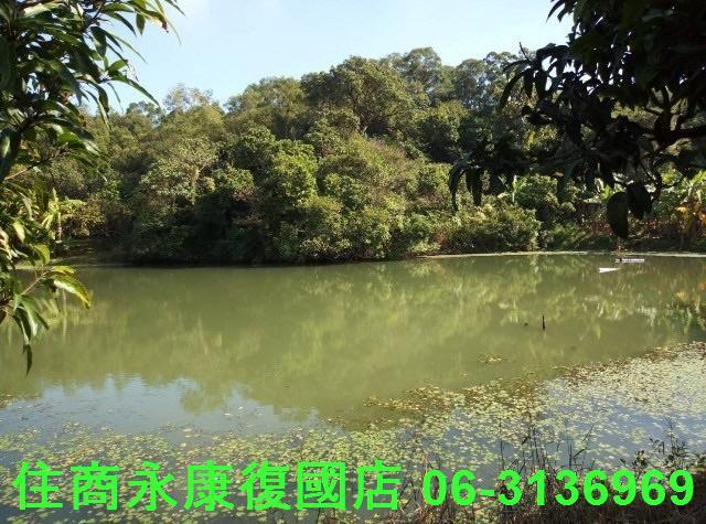 南化農地-8