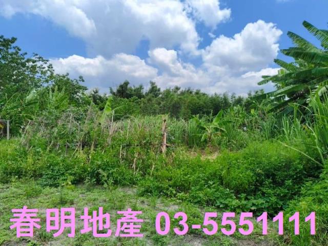 竹東農地-1