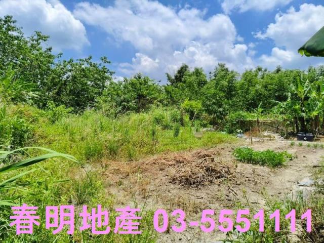 竹東農地-6