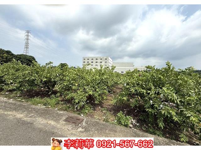 山上建地-6