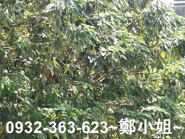 桃園農地-2