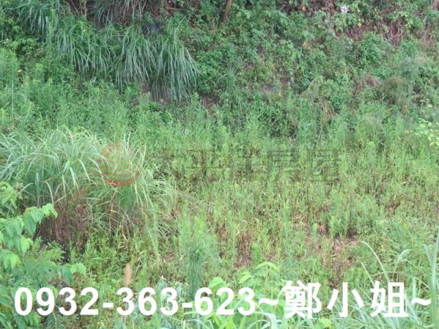 桃園交通用地-9