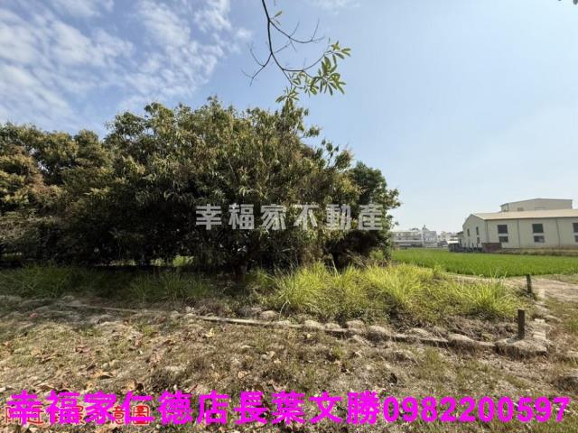台南歸仁農地-14