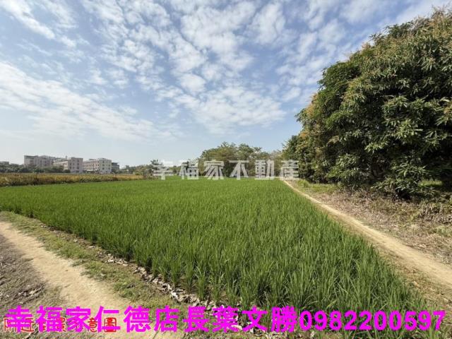 台南歸仁農地-15