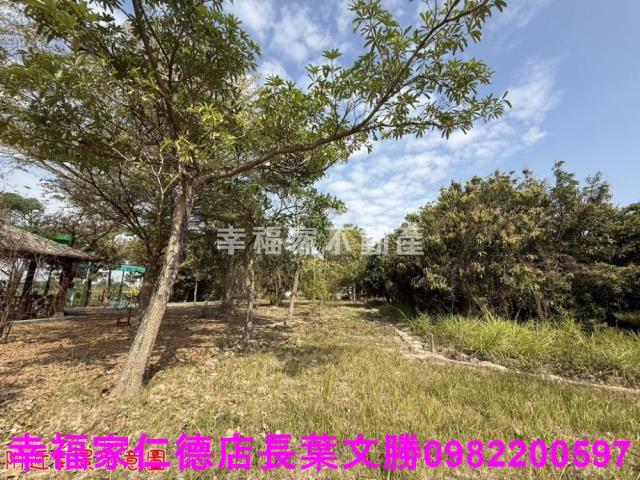 台南歸仁農地-1