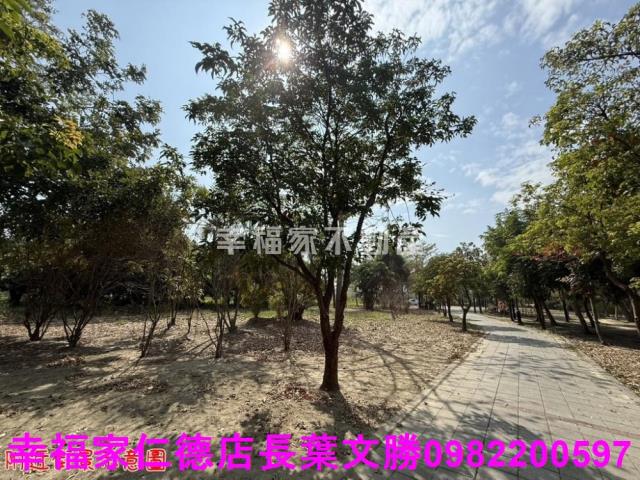 台南歸仁農地-5
