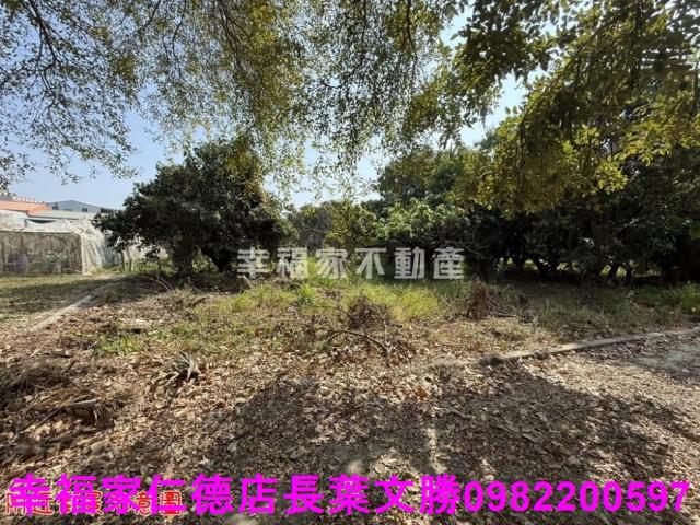 台南歸仁農地-8