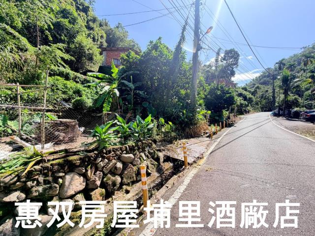 埔里農地-1
