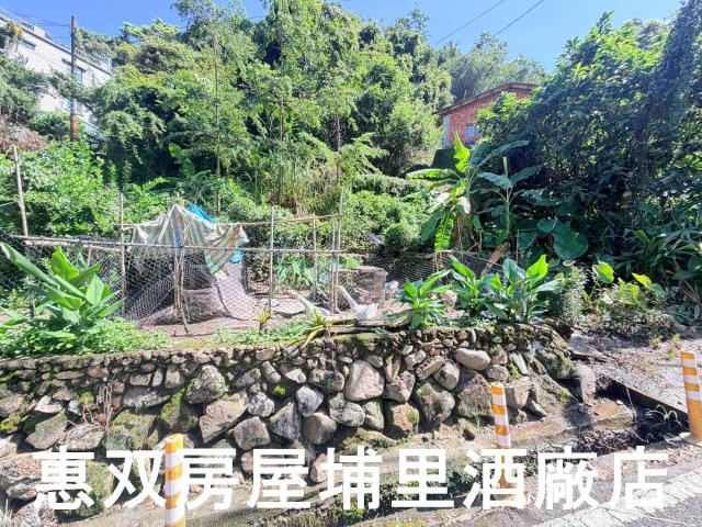 埔里農地-2