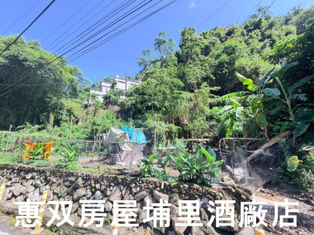 埔里農地-3