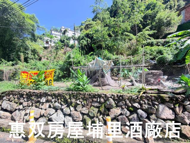 埔里農地-4