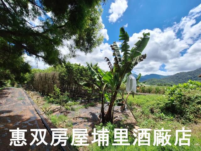 埔里農地-2