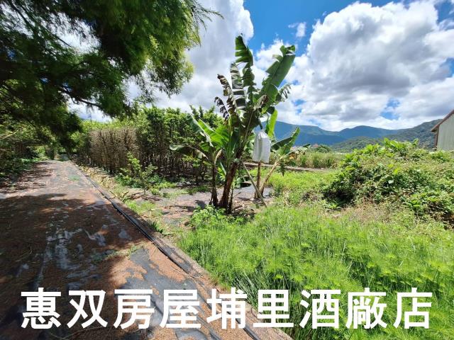 埔里農地-4