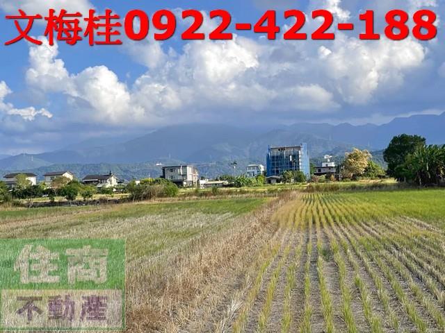 宜蘭三星農地-6