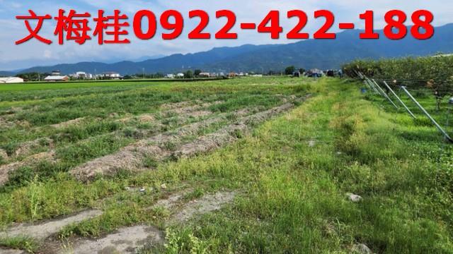 宜蘭三星農地-2