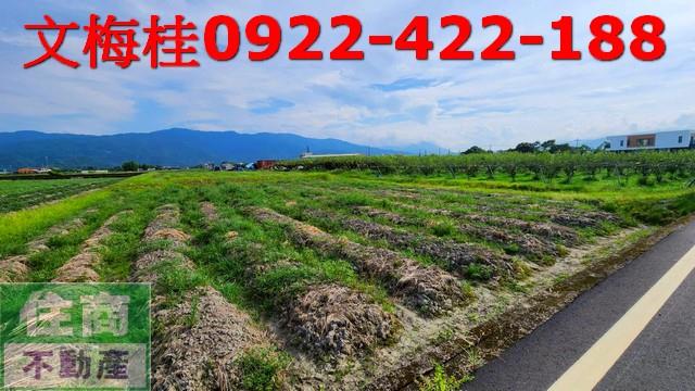 宜蘭三星農地-3