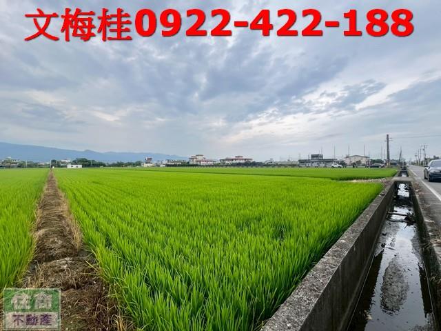 宜蘭壯圍農地-1