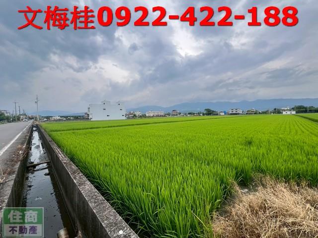宜蘭壯圍農地-2