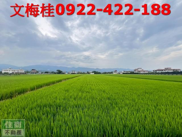 宜蘭壯圍農地-3