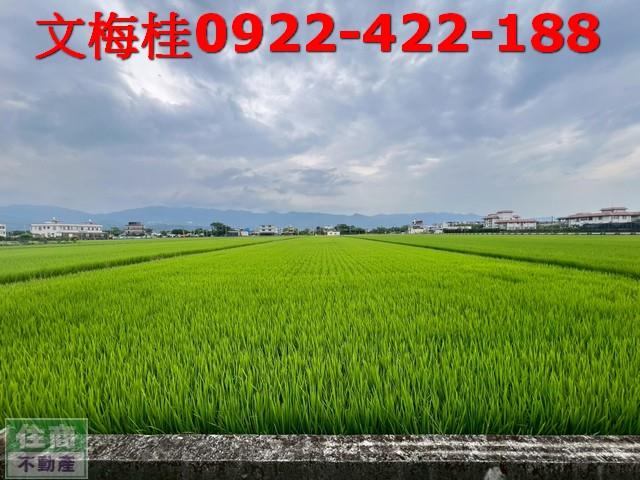 宜蘭壯圍農地-5