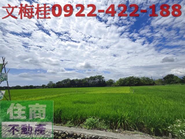 宜蘭員山農地-7