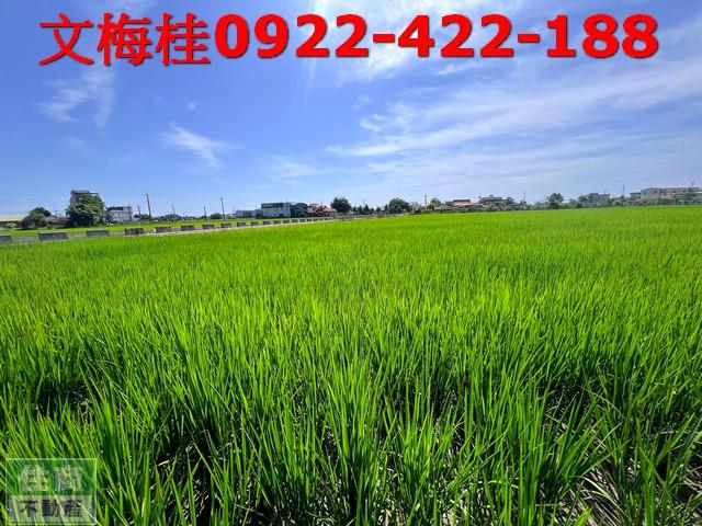 宜蘭宜蘭市農地-3