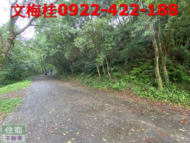 宜蘭員山農地-5