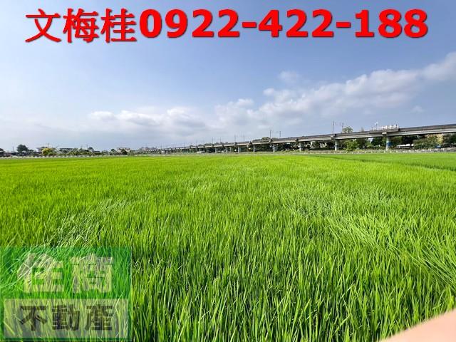 宜蘭宜蘭市農地-1