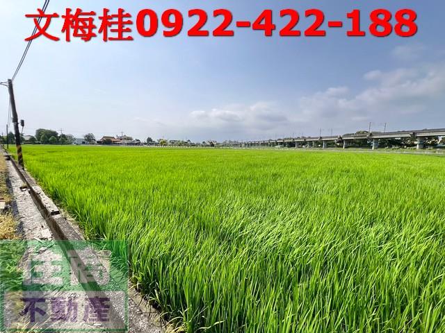 宜蘭宜蘭市農地-2