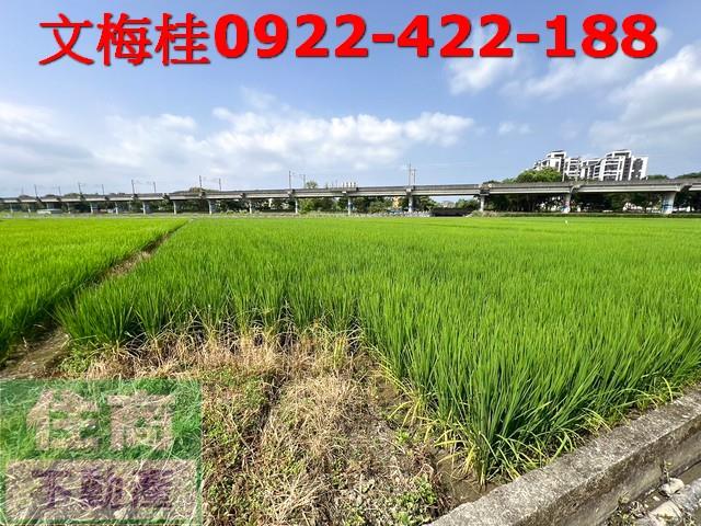 宜蘭宜蘭市農地-3
