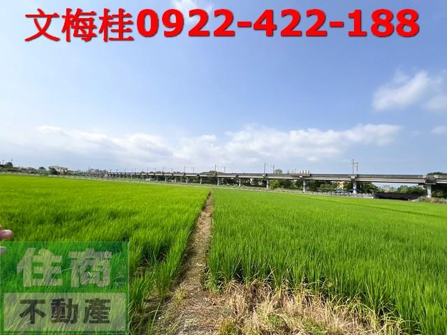 宜蘭宜蘭市農地-5