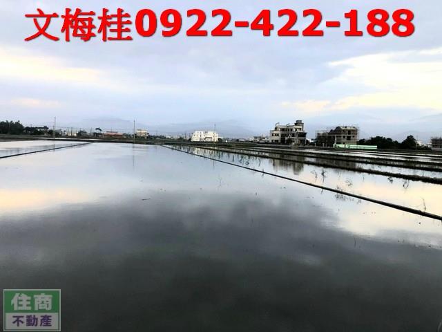 宜蘭壯圍農地-1