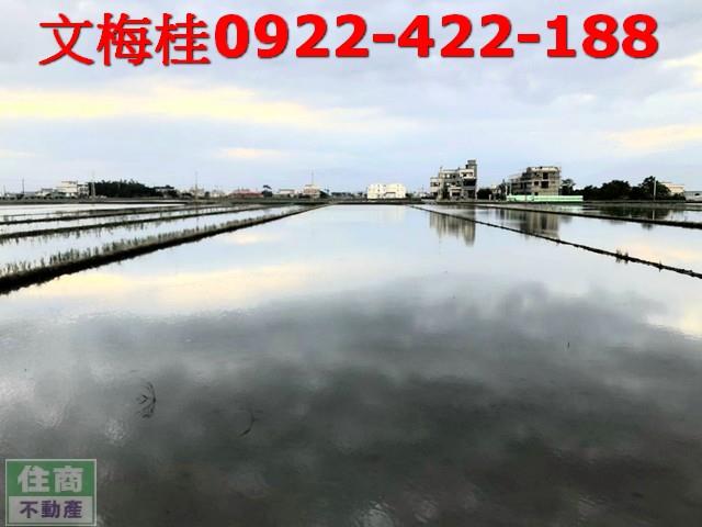 宜蘭壯圍農地-2
