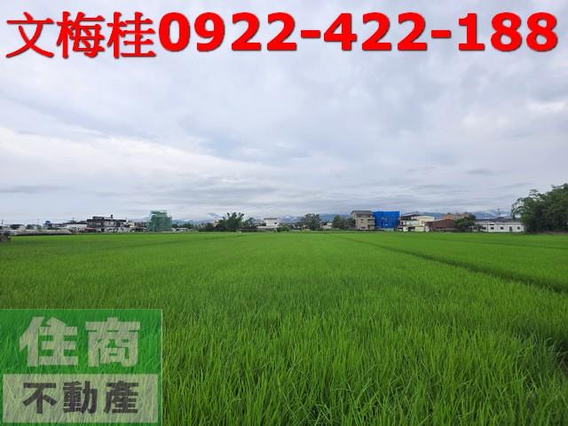 宜蘭壯圍農地-1