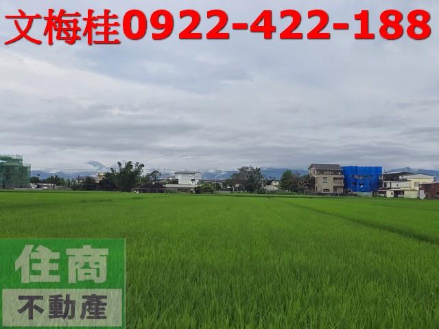 宜蘭壯圍農地-2