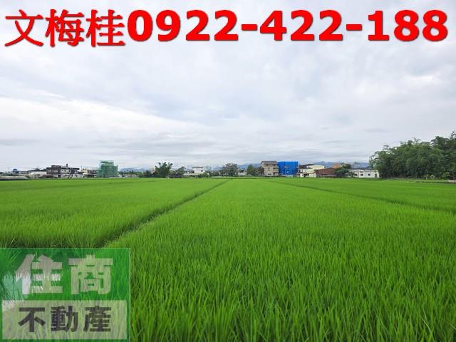 宜蘭壯圍農地-5