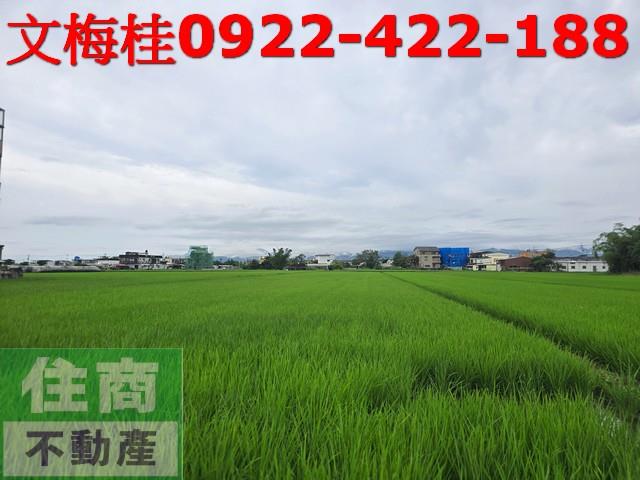 宜蘭壯圍農地-6