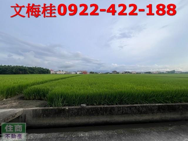 宜蘭壯圍農地-4