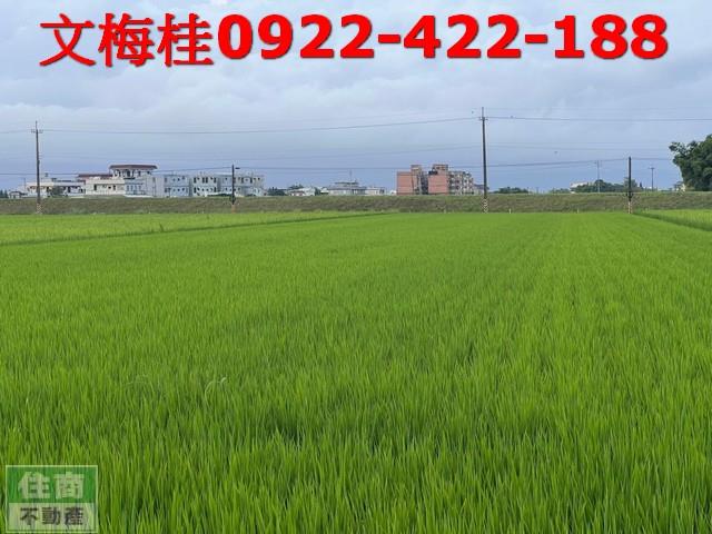 宜蘭壯圍農地-7