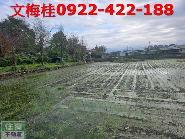 宜蘭壯圍農地-1