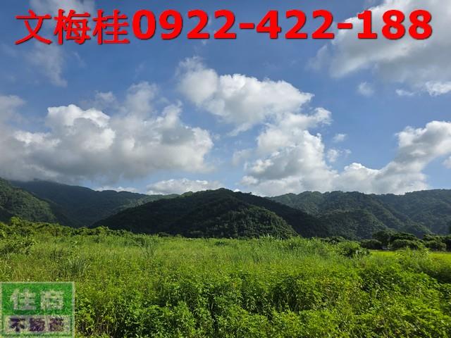 宜蘭員山農地-4