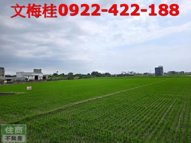 宜蘭礁溪農地-2