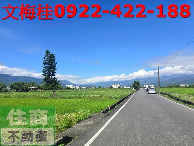 宜蘭三星農地-2